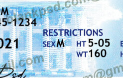 Blank Alabama Drivers License New V2 5 alabama drivers license psd