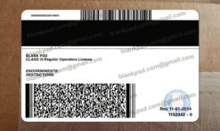 Blank Alabama Drivers License New V2 6 alabama drivers license back