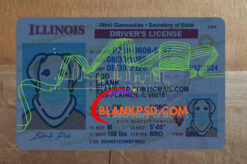 fake illinois driver license