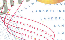 fake il driver license