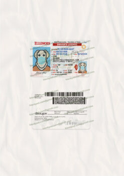 illinois id template