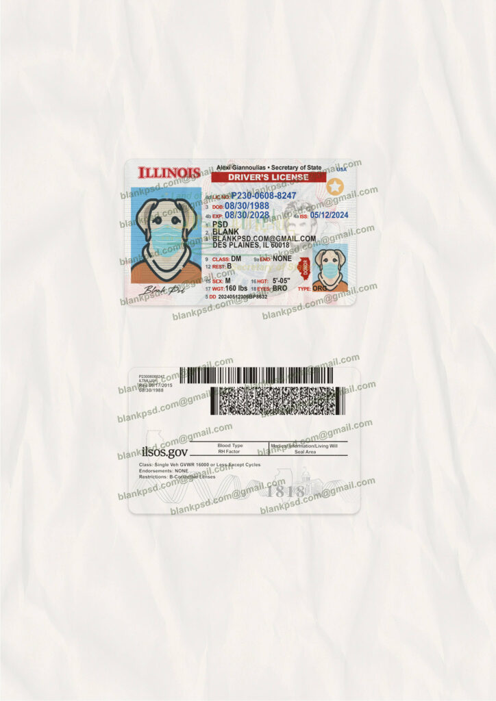 Blank Illinois Drivers License Template New V2 2400 DPI