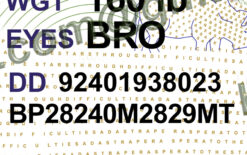 Kansas Drivers License Template New V2 1200 DPI 9 ks drivers license template