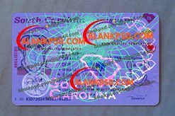 south carolina drivers license UV