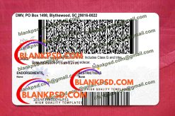 back of south carolina driver license