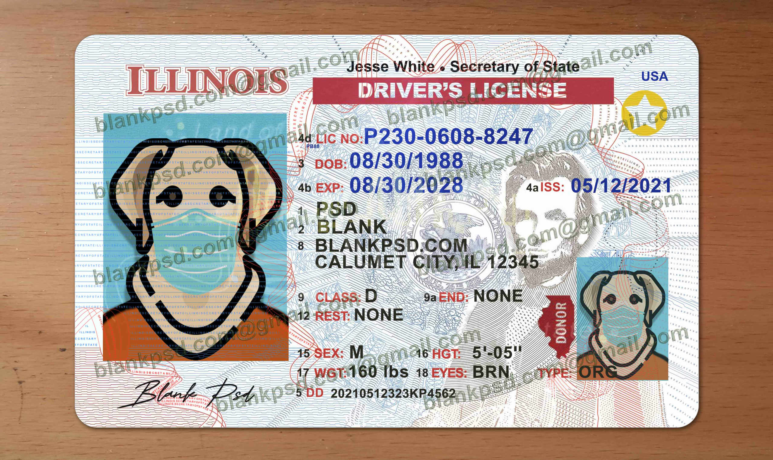 Blank Illinois Drivers License Template New V2 Blank PSD