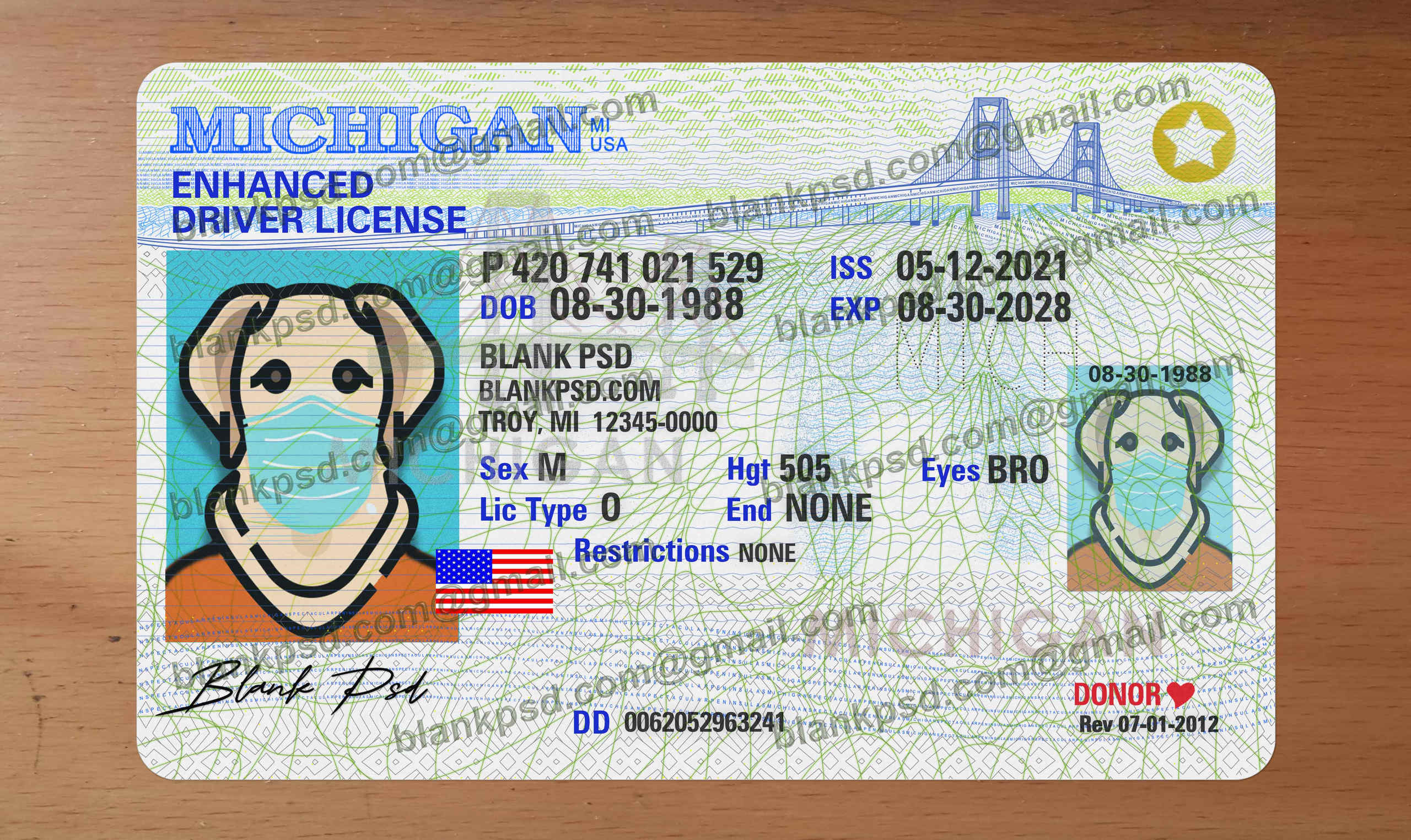 free michigan drivers license template