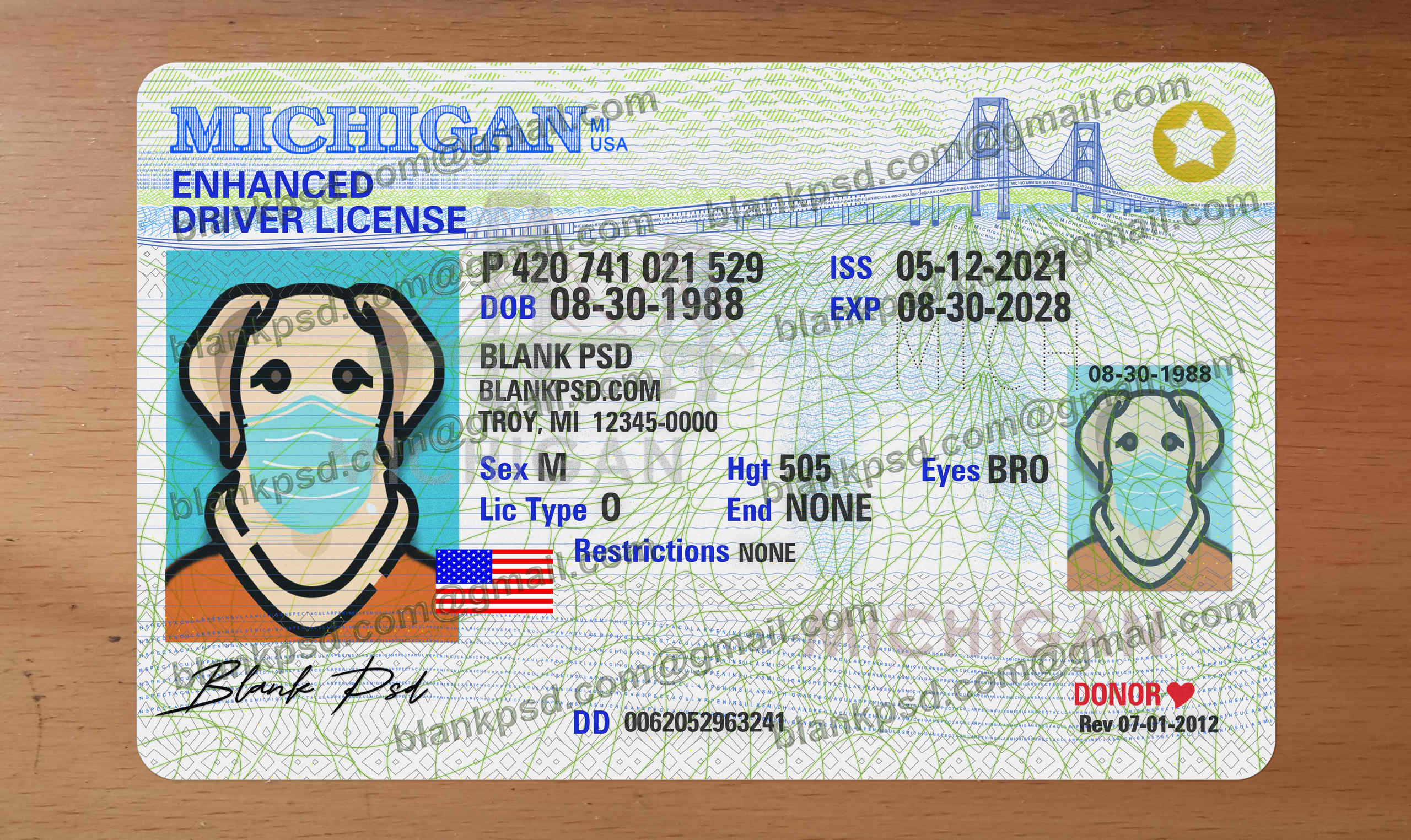 michigan-enhanced-drivers-license-template-new-v1-blank-psd