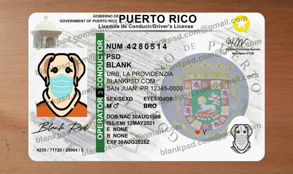 Puerto rico drivers license template new v2 blank psd
