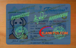tennessee drivers license hologram