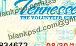 tennessee driver license psd