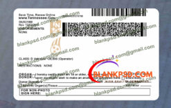 back of tennessee drivers license