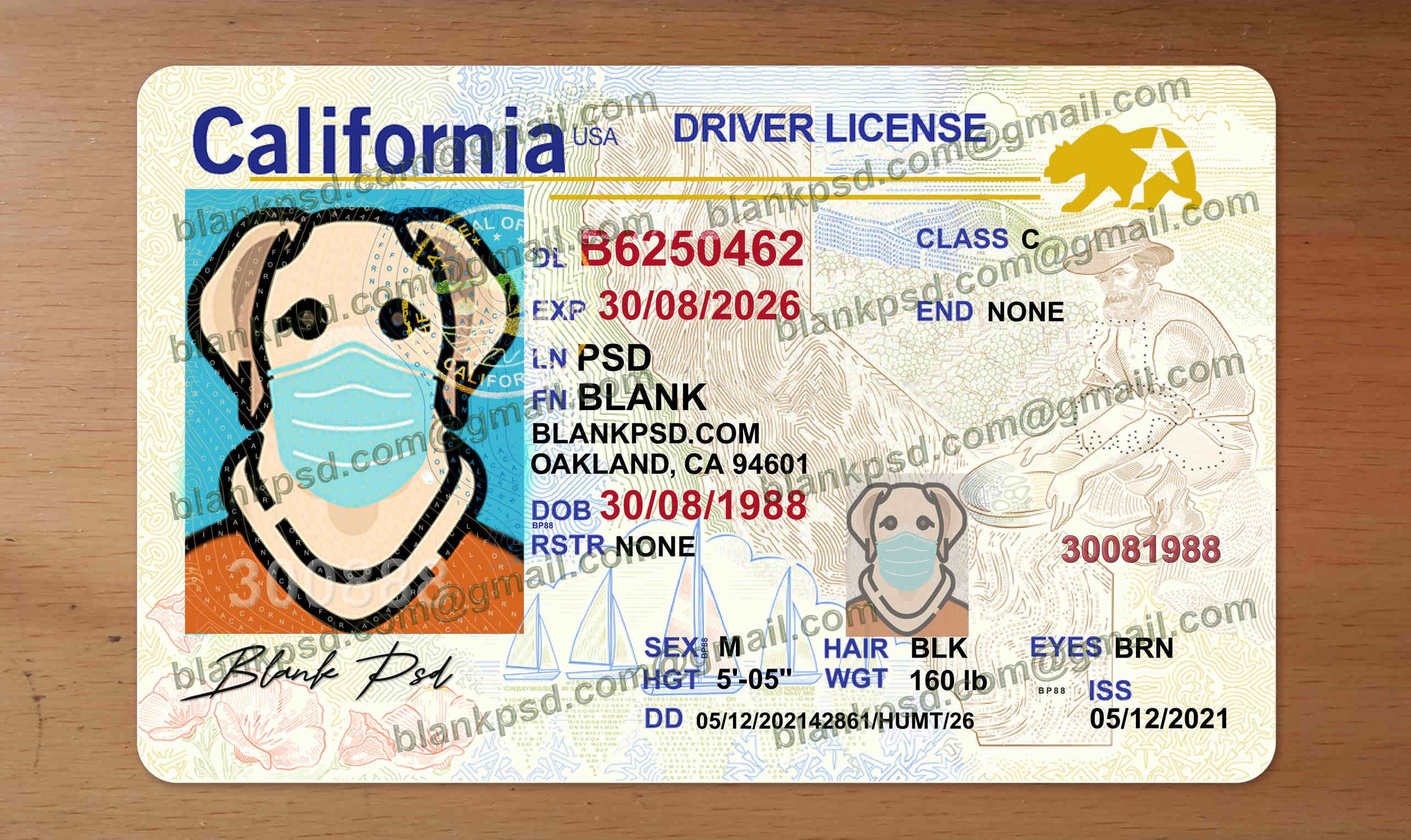 California Drivers License Template New V2 - Blank PSD