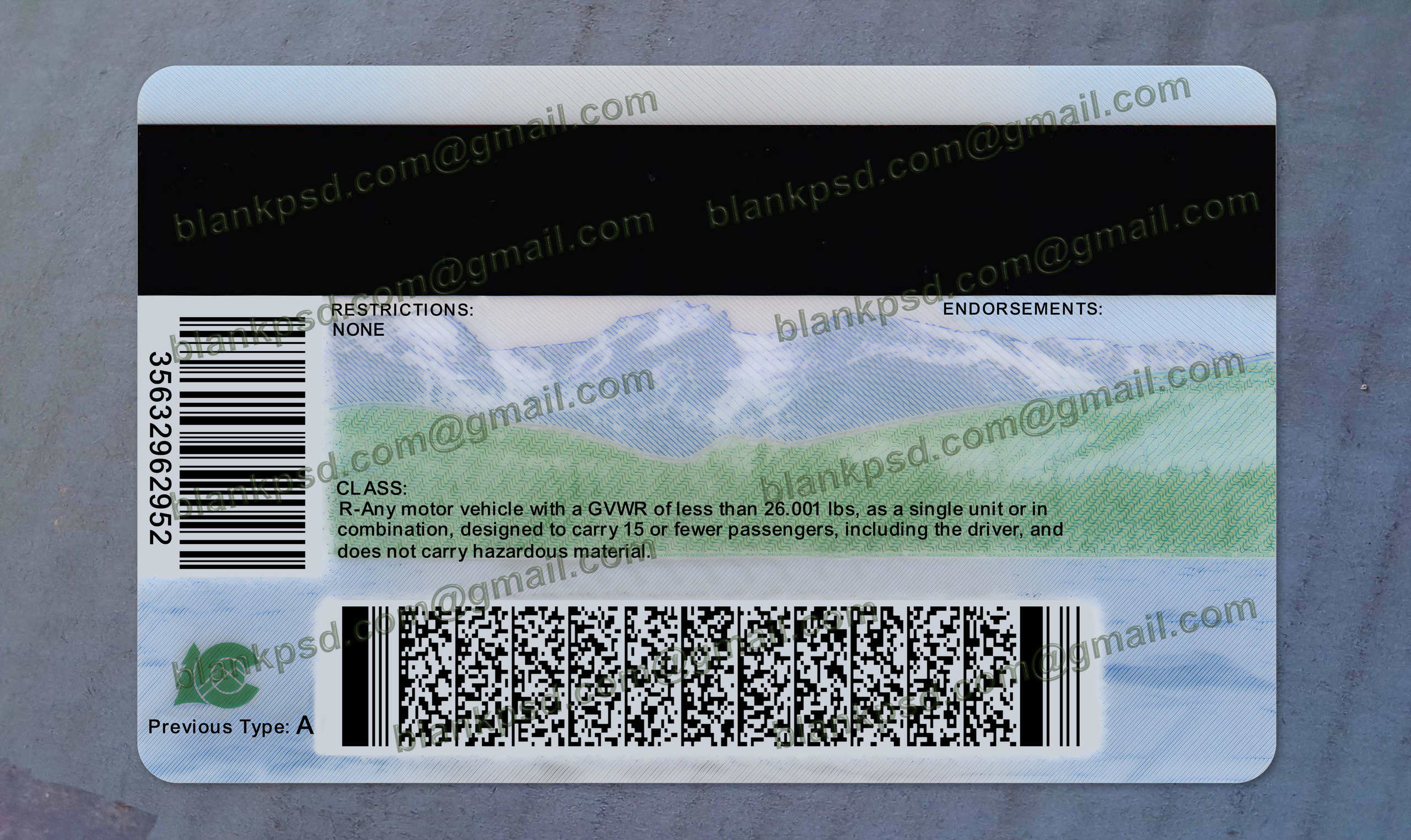 Colorado Drivers License Template New 2022 Blank PSD