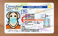 connecticut drivers license template