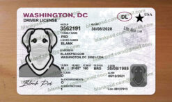 fake id washington dc