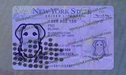 ny driver license psd