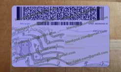 ny driver license psd back