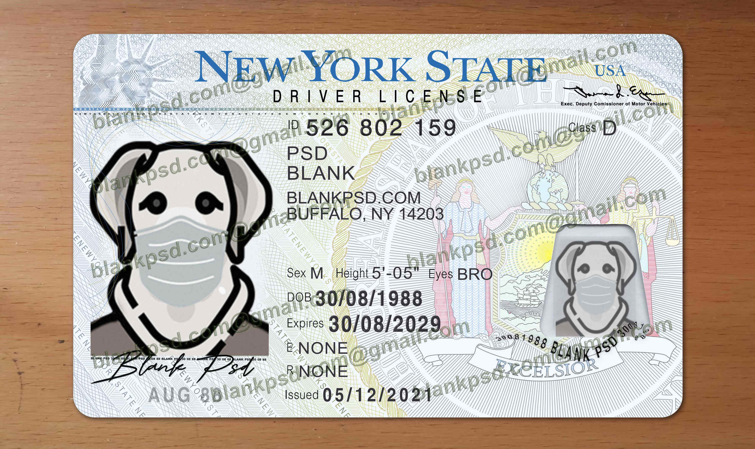 ny drivers license template download free