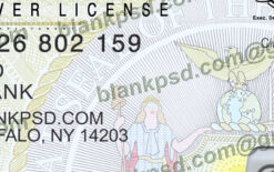 fake ny drivers license