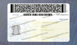 new york drivers license back