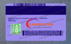 Minnesota Drivers License Template New V2 1200 DPI 10 back of mn drivers license