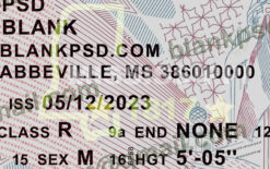 mississippi drivers license psd