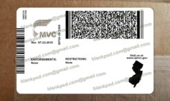 new jersey drivers license back