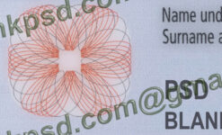 id card austria template