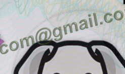 belgium id card template