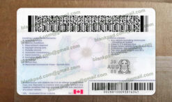 alberta driver license back
