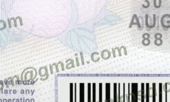 alberta driver license template