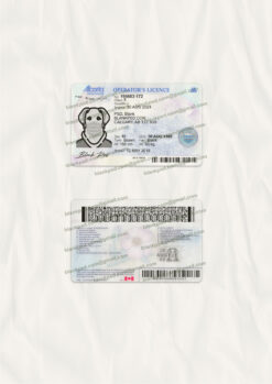 fake alberta id card