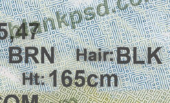 bc drivers license psd