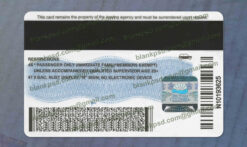 back british columbia drivers license