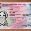 Poland ID Card Psd New 2019 6 poland id card psd