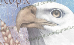 usa passport psd free