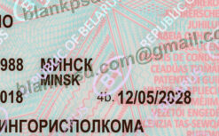belarus driver license psd