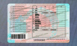 belarus driver license back