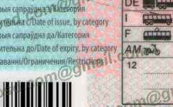 belarus drivers license psd