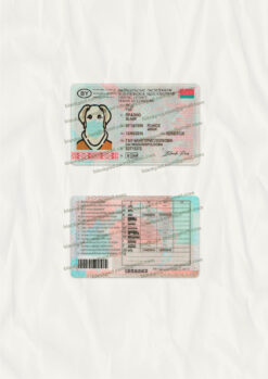 fake belarusian drivers license