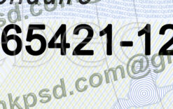 fake qb driver license