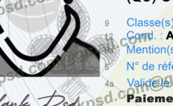 quebec canada driving licence template