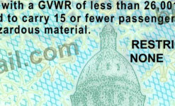 Blank Colorado Drivers License New V2 2020 8 colorado driving licence template