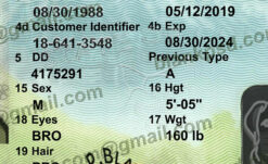 Colorado Drivers License Psd New V1 6 fake co driver license