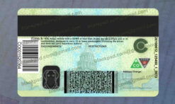 Colorado Drivers License Psd New V1 7 colorado driver license back
