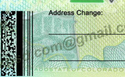 Colorado Drivers License Psd New V1 8 blank colorado drivers license