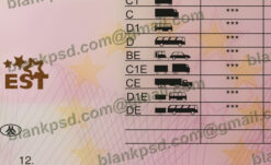 back of estonia driver license