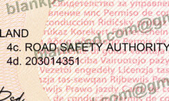 blank ireland driver license