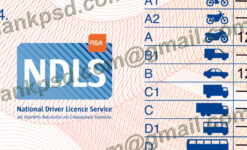 ireland drivers license template